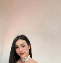 FeyFey Full service - Transsexual escort in Riyadh