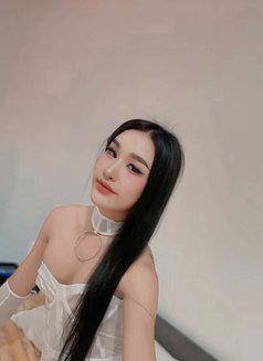FeyFey Full service - Transsexual escort in Riyadh Photo 16 of 21