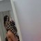 Pim(new) - escort in Muscat Photo 1 of 11