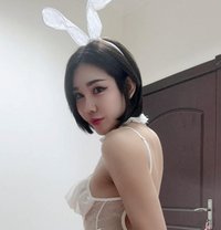 Fifie - Transsexual escort in Al Manama