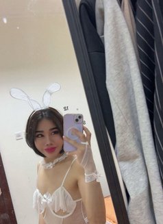 Fifie - Transsexual escort in Al Manama Photo 3 of 3