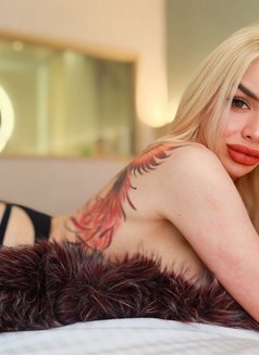 Fil/Aussie Domn - Acompañantes transexual in Hong Kong Photo 24 of 27