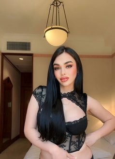 Paypal show .! - Transsexual escort in Kuwait Photo 19 of 25