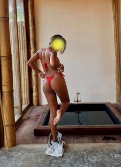 Filipina, BBBJ, ANAL, Strap-On, Squirt - escort in Singapore Photo 11 of 12