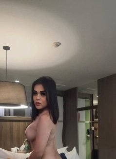 GODDESS FILIPINA PREMIUM SHEMALE - Transsexual escort in Bangkok Photo 19 of 25