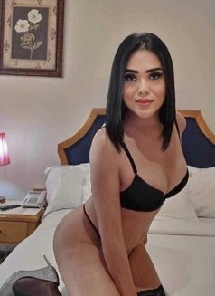 🇵FILIPINA GORGEOUS SHEMALE TOP/ BOTTOM - Transsexual escort in Casablanca Photo 25 of 26