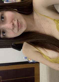 Filipina/Irani Ts Irish - Transsexual escort in Abu Dhabi Photo 24 of 24