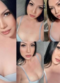 Filipina Lady Boy Sex Guru - Acompañantes transexual in Singapore Photo 11 of 11