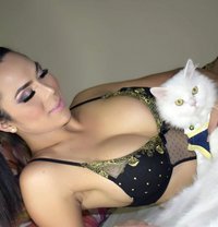 Ts Filipina At your service,just Landed - Transsexual escort in Bangkok Photo 1 of 20