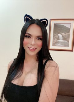 TS iCCY Filipina Just Landed - Transsexual escort in Yerevan Photo 3 of 28