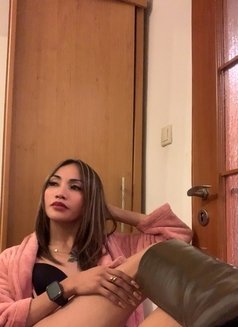 Filipinamargaux - Transsexual escort in Berlin Photo 2 of 2