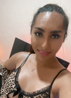 Paypal webcamSHOW is Ready ( Nam ) - Transsexual escort in Dubai Photo 5 of 21
