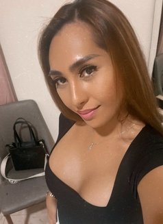 Paypal webcamSHOW is Ready ( Nam ) - Transsexual escort in Dubai Photo 16 of 21