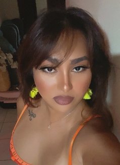 VERSATILE Filipino New in Jordan - Transsexual escort in Amman Photo 18 of 30