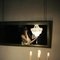 FiONi High Class Hot & Luxurious - escort in Noida Photo 3 of 10