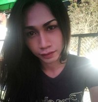 First Chotika - Transsexual escort in Bangkok