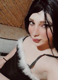 First Lady - Transsexual escort in Beirut Photo 4 of 7