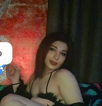 First Lady - Acompañantes transexual in Beirut