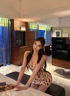 First Time in Taipe - escort in Taipei Photo 1 of 10