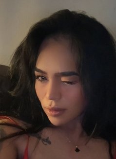 First timer? I would love to train you🤍 - Acompañantes transexual in Abu Dhabi Photo 7 of 8