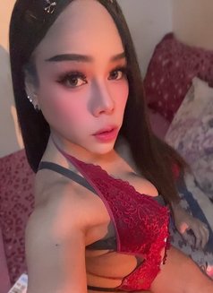 ⚜️First Top⚜️[ New LadyBoy ]🇹🇭 - Transsexual escort in Muscat Photo 22 of 27
