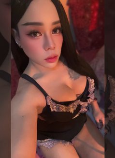 ⚜️First Top⚜️[ New LadyBoy ]🇹🇭 - Transsexual escort in Muscat Photo 21 of 27