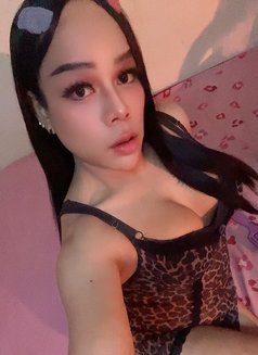 ⚜️First Top⚜️[ Now LadyBoy ]🇹🇭 - Transsexual escort in Muscat Photo 11 of 15