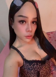 ⚜️First Top⚜️[ Now LadyBoy ]🇹🇭 - Transsexual escort in Muscat Photo 12 of 15
