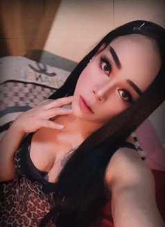 ⚜️First Top⚜️[ Now LadyBoy ]🇹🇭 - Transsexual escort in Muscat Photo 13 of 15