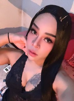 ⚜️First Top⚜️[ Now LadyBoy ]🇹🇭 - Transsexual escort in Muscat Photo 14 of 15