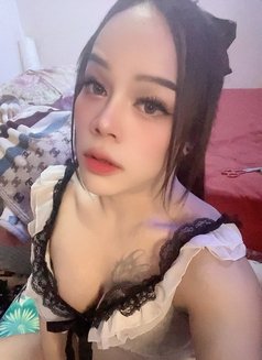 ⚜️ FIRST TOP [Goog service] ⚜️ - Acompañantes transexual in Muscat Photo 14 of 26