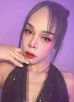 FIRST-TOP(New LadyBoy) - Acompañantes transexual in Muscat Photo 14 of 17