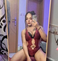 ⚜️First Top⚜️( NewLadyBoy ) - Transsexual escort in Muscat