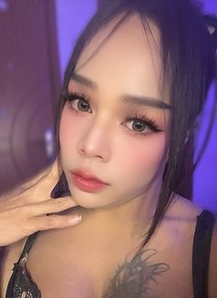 FIRST-TOP(เลดี้บอยคนใหม่) - Transsexual escort in Muscat Photo 14 of 15