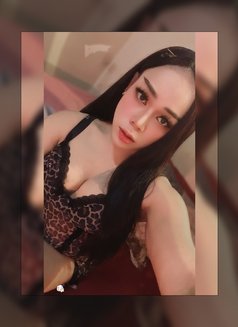 ⚜️First Top⚜️{ New ladyBoy🇹🇭} - Transsexual escort in Muscat Photo 14 of 16