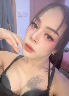 FIRST TOP [NOW LADYBOY]🇹🇭 - Acompañantes transexual in Muscat Photo 9 of 19
