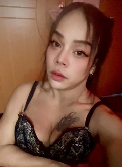 FIRST TOP [NOW LADYBOY]🇹🇭 - Acompañantes transexual in Muscat Photo 11 of 19
