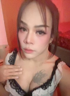 FIRST TOP [NOW LADYBOY]🇹🇭 - Acompañantes transexual in Muscat Photo 14 of 19