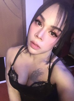 FIRST TOP [NOW LADYBOY]🇹🇭 - Acompañantes transexual in Muscat Photo 17 of 19