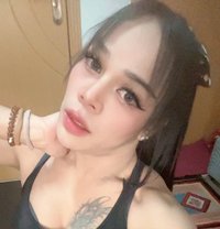 First Top - Acompañantes transexual in Muscat