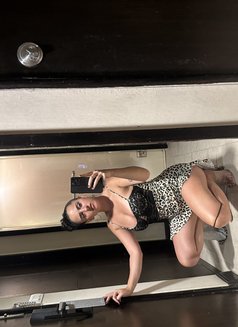 Leyla - escort in Pattaya Photo 18 of 20