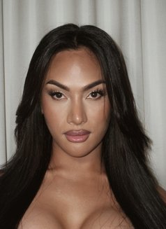 ππ²πΌπΌ π¦π²π·πΈπ·πͺ TOP vers Trans - Transsexual escort in Dubai Photo 29 of 29