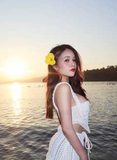 Flamarra GFE - escort in Taipei Photo 3 of 3