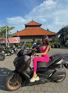 YOURE DREAM SEXY DOLL - Transsexual escort in Bali Photo 28 of 28