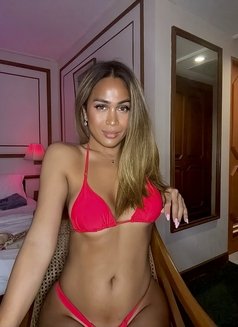 Flawlessly Made for Sexual Greed - Transsexual escort in Bangkok Photo 22 of 30