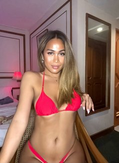 Flexible TOP Trans Roberta - Transsexual escort in Kuala Lumpur Photo 9 of 30