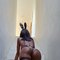 Flexie - escort in Bali