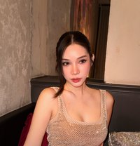 Flight Attendant Angel - Acompañante in Seoul