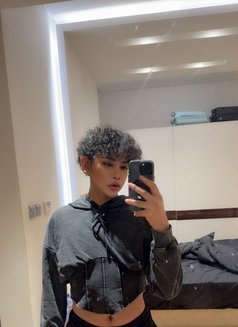 Fluky Femboy - Male escort in Al Manama Photo 7 of 8