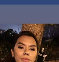 Flutos Miranda Your virtual escort from - Acompañantes transexual in Hong Kong